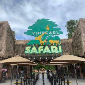 safari gate on day time