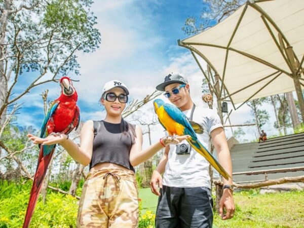 Tomando fotografías con aves después de un increíble espectáculo de aves en un safari