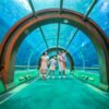 aquarium at vinwonder