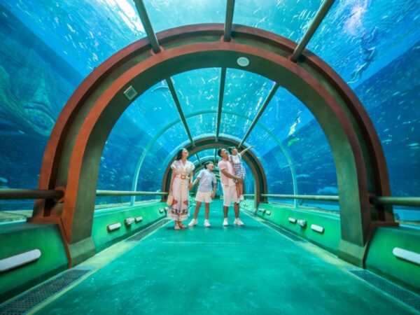 aquarium at vinwonder