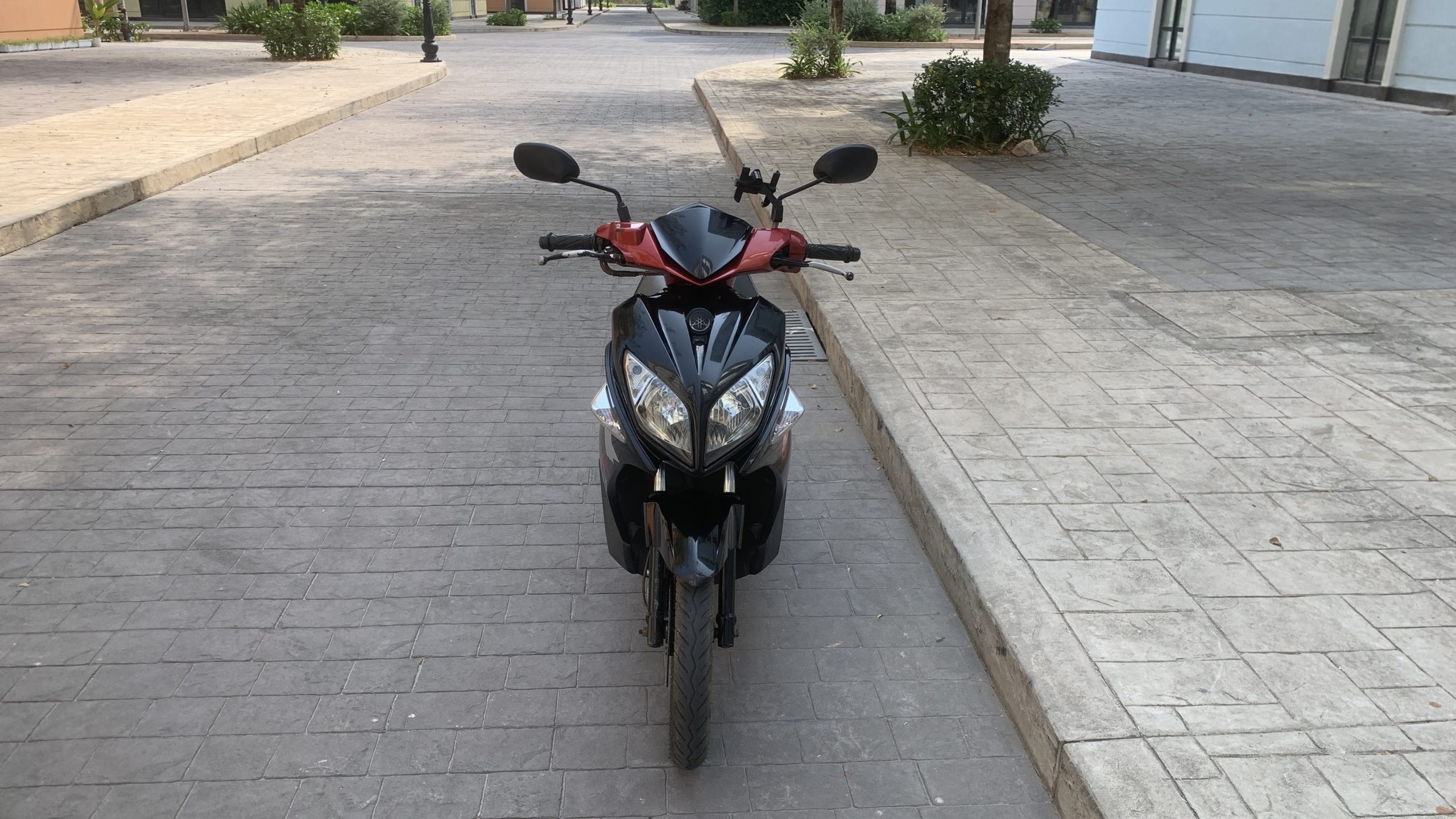 yamaha nouvo лицевая сторона