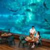 Romantic meal front of aquarium mermaid screen show