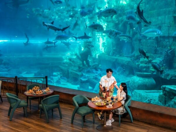 Romantic meal front of aquarium mermaid screen show