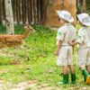 Kids join “Junior zoo keeper” course