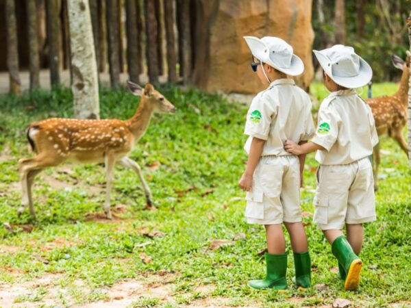 Kids join “Junior zoo keeper” course