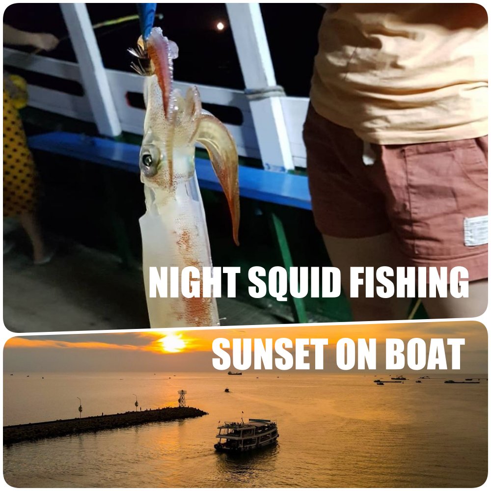 OPTION 2: SQUID FISHING AND SUNSET BOAT TRIP