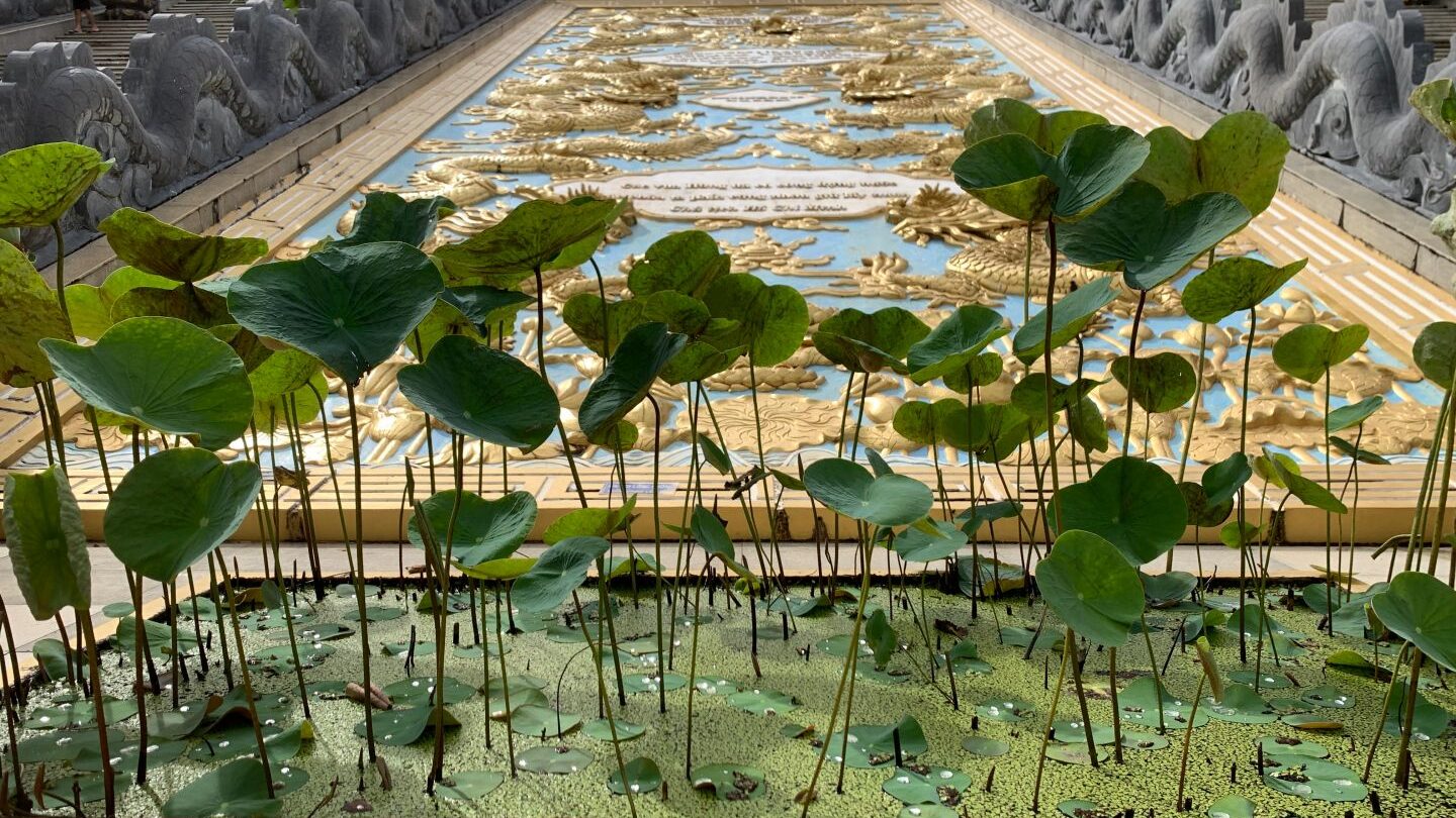 Lotus sink infront of the wall of Phu Quoc Pagoda