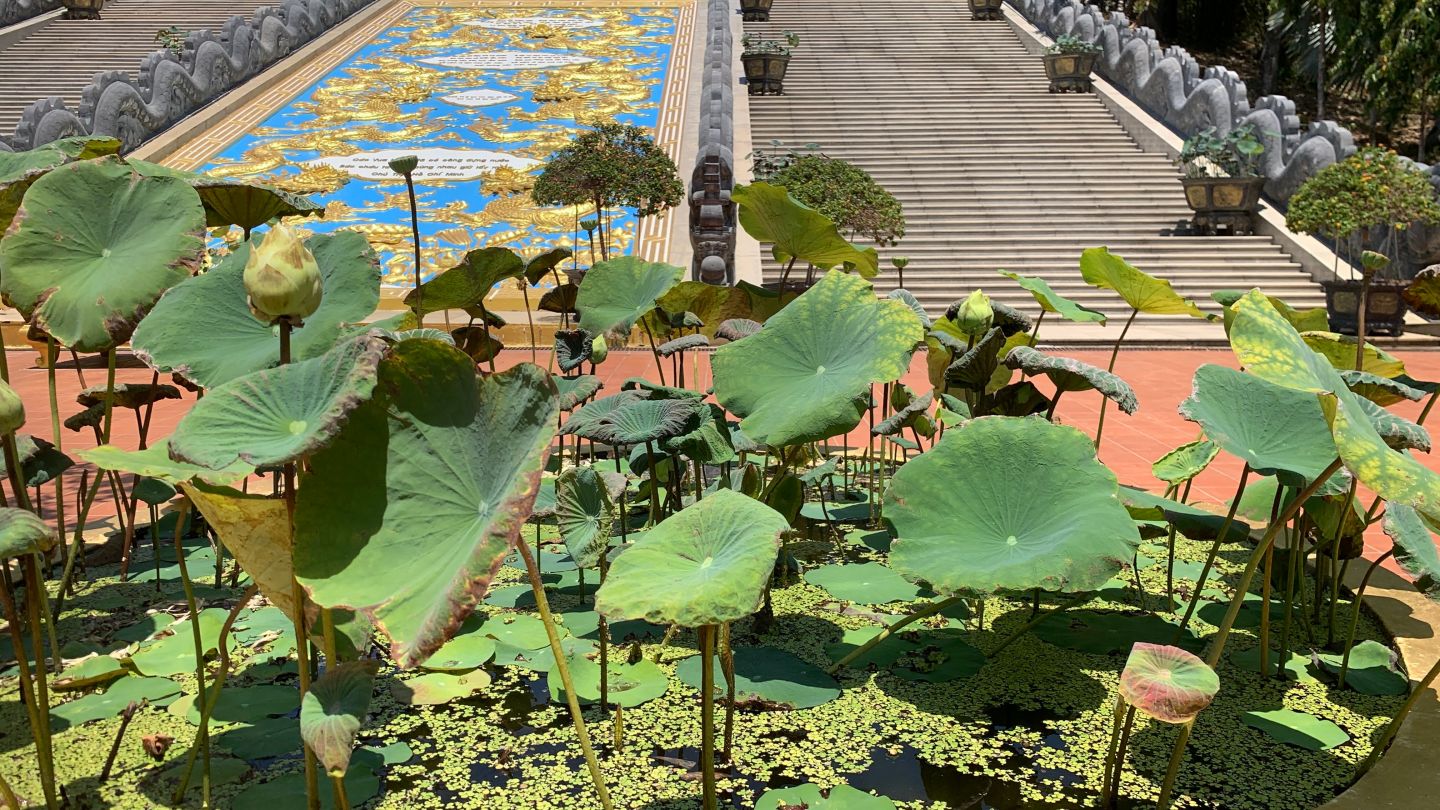 Lotus sink front of main stairs to main hall of Phu Quoc Pagoda
