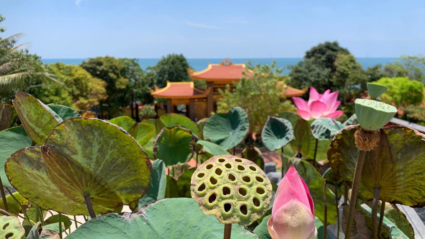 Lotus bud and leaves at Phu Quoc Pagoda