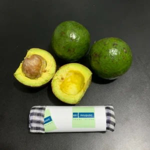 heyphuquoc - circle avocado 05 Aguacate redondo