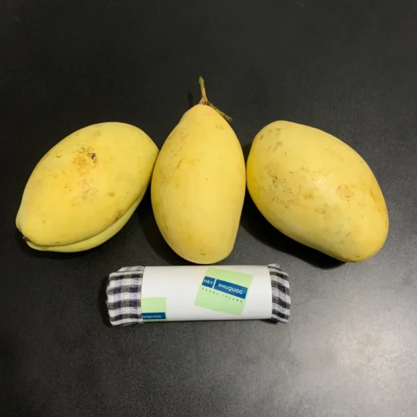 Phu Quoc Mango 02