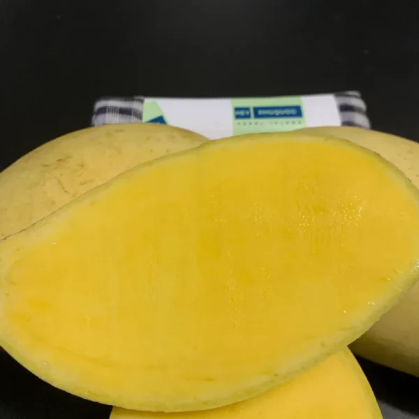 Phu Quoc Mango 08